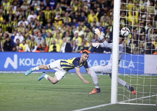 还要对抗海 还要对抗海